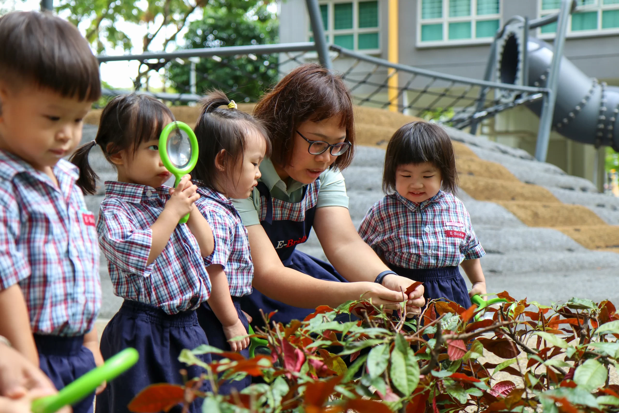Going Beyond the Classroom Walls: The Value of Outdoor Learning for ...