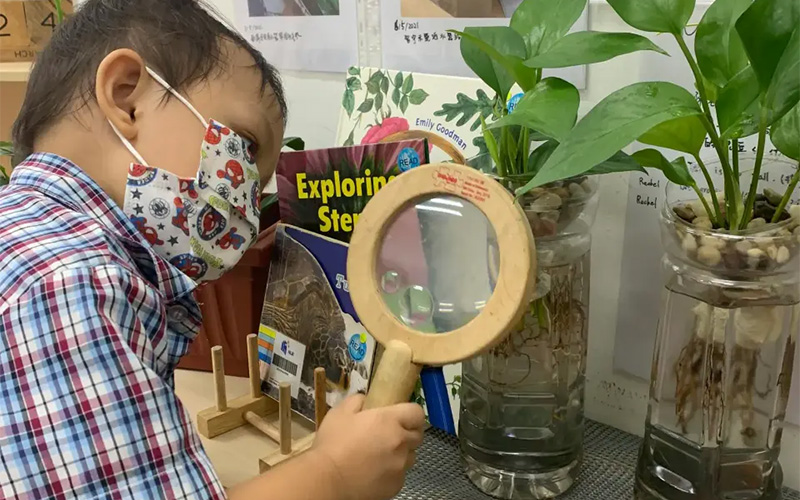 A child exploring plants with a magnifying glass.