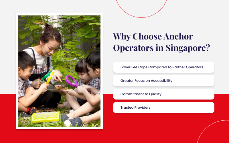 A table Why to Choose Anchor Operators in Singapore